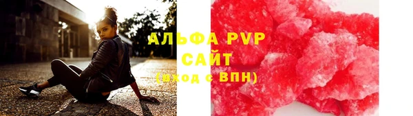 прущие грибы Алзамай