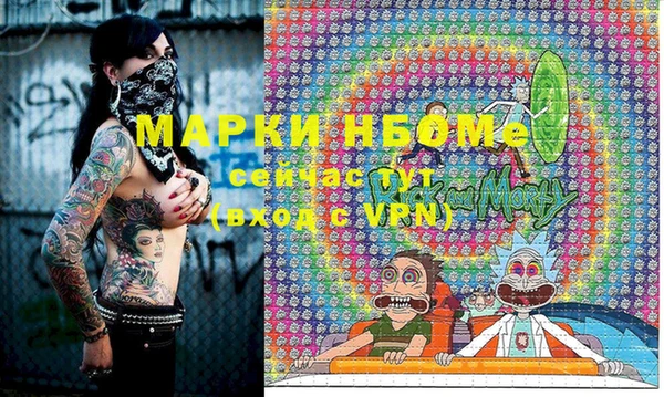 прущие грибы Алзамай