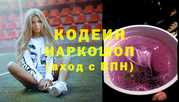 хмурый Алексин