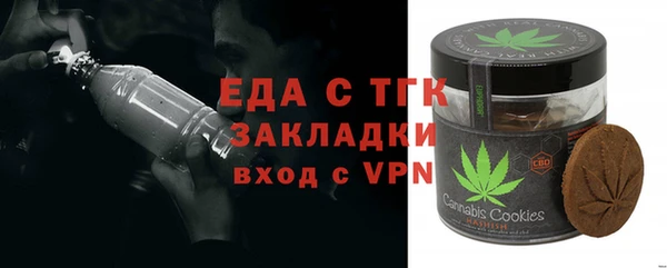 хмурый Алексин