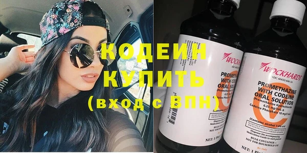прущие грибы Алзамай