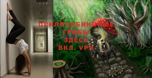 хмурый Алексин