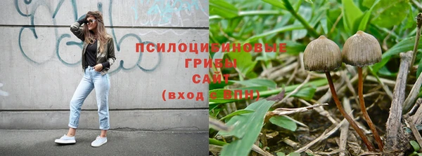 хмурый Алексин