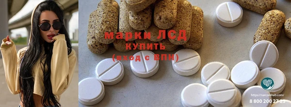 хмурый Алексин