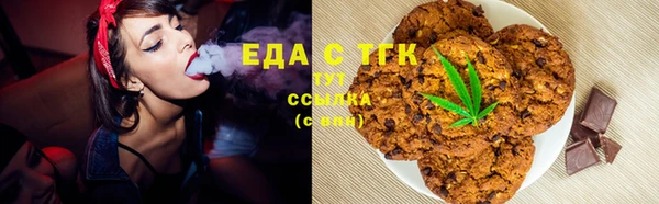 хмурый Алексин
