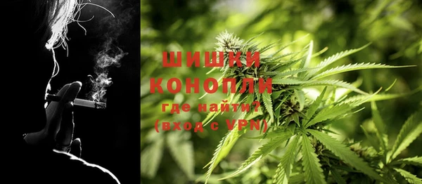 прущие грибы Алзамай